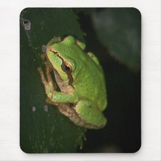 Groene boomkikker Mousepad Muismat (Voorkant)