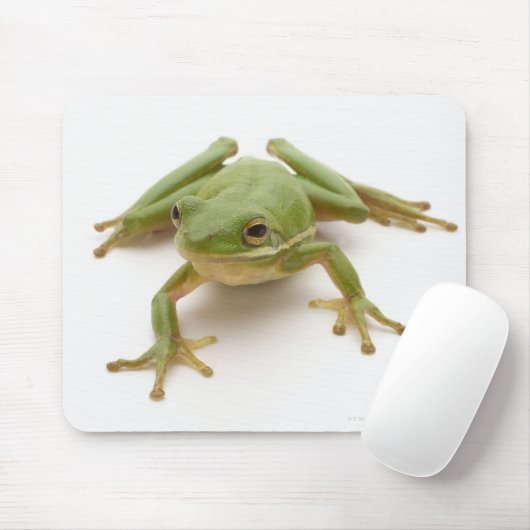 Groene boomkikker muismat (Met muis)