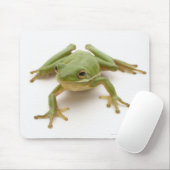 Groene boomkikker muismat (Met muis)