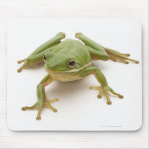 Groene boomkikker muismat