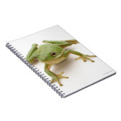 Groene boomkikker notitieboek (Rechterzijde)