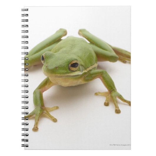 Groene boomkikker notitieboek (Voorkant)
