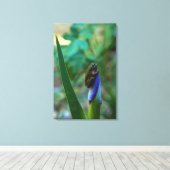 Groene boomkikker op Iris Canvas Afdruk (Insitu (Houten vloer))