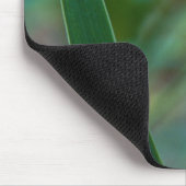 Groene boomkikker op Iris Muismat (Hoek)