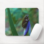 Groene boomkikker op Iris Muismat (Met muis)
