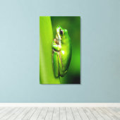 Groene boomkikker op rode Natuur Macro Canvas Wall (Insitu (Houten vloer))