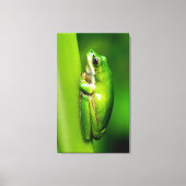Groene boomkikker op rode Natuur Macro Canvas Wall (Voorkant)