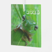 Groene Boomkikker Ornament (Voorkant links)