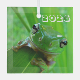 Groene Boomkikker Ornament