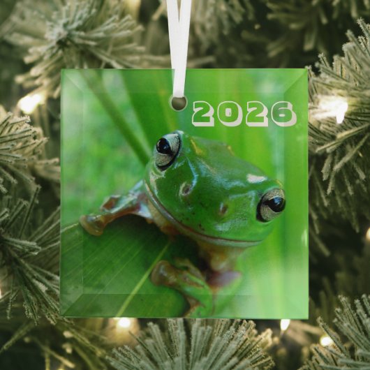Groene Boomkikker Ornament (Insitu)