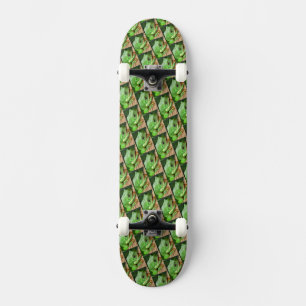 Groene boomkikker persoonlijk skateboard