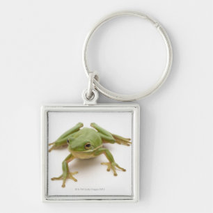Groene boomkikker sleutelhanger
