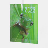 Groene boomkikkervervormer glas ornament (Voorkant links)