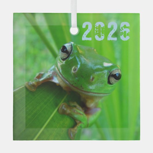 Groene boomkikkervervormer glas ornament (Voorkant)