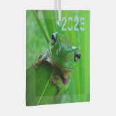 Groene boomkikkervervormer glas ornament (Voorkant Rechts)