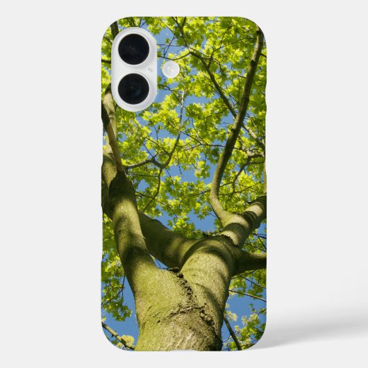 Groene boomkroon Foto met blauwe hemel - Case-Mate iPhone Case (Achterkant)