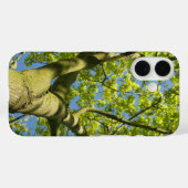 Groene boomkroon Foto met blauwe hemel - Case-Mate iPhone Case (Achterkant (horizontaal))