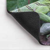 Groene boommonitor - Varanus prasinus Muismat (Hoek)