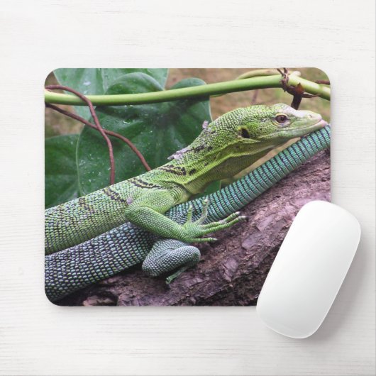 Groene boommonitor - Varanus prasinus Muismat (Met muis)