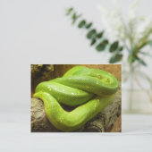 Groene boomPython Briefkaart (Staand voorkant)