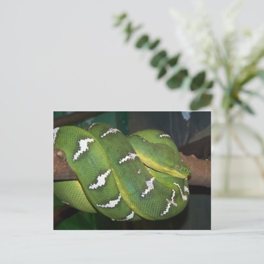 Groene boomPython Briefkaart (Staand voorkant)