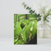 Groene boomPython Briefkaart (Staand voorkant)
