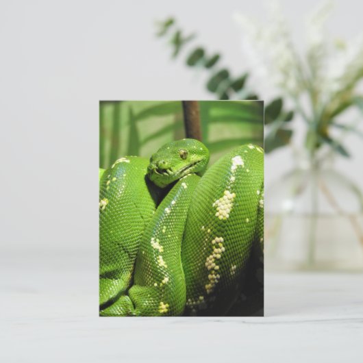 Groene boomPython Briefkaart (Staand voorkant)