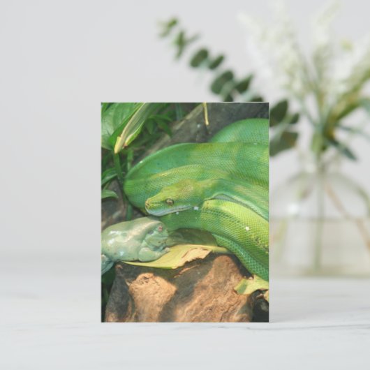 Groene-boomPython en kikker van de witte boom Briefkaart (Staand voorkant)