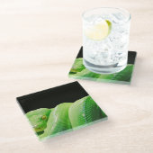 groene boompython glazen onderzetter (Schuin)