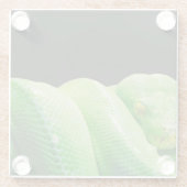groene boompython glazen onderzetter (Achterkant)