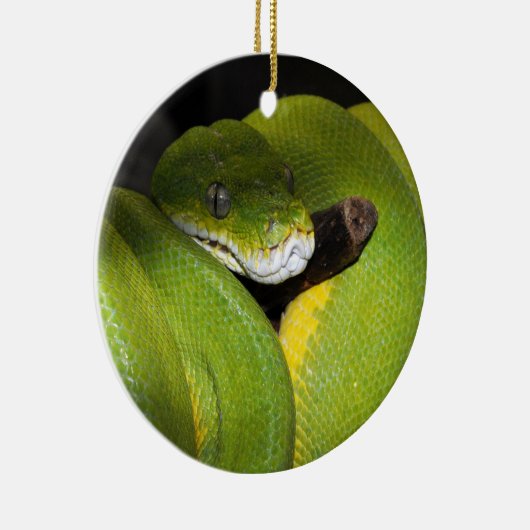 Groene boompython keramisch ornament (Rechts)