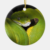 Groene boompython keramisch ornament (Voorkant)
