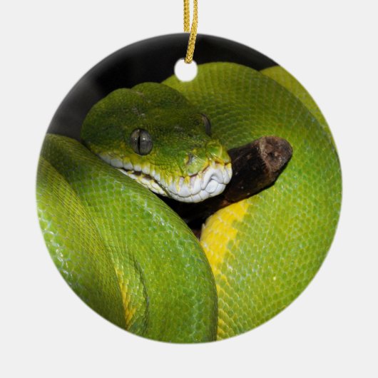 Groene boompython keramisch ornament (Voorkant)