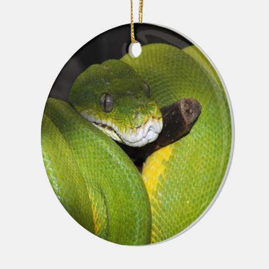 Groene boompython keramisch ornament (Links)