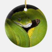 Groene boompython keramisch ornament (Achterkant)