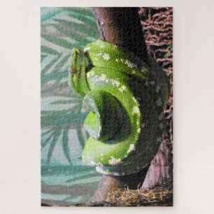Groene boomPython Legpuzzel