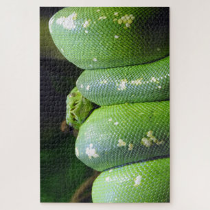 Groene boomPython Legpuzzel