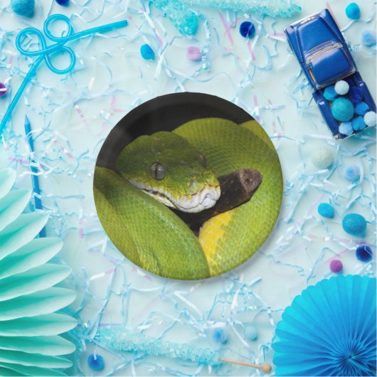 Groene boompython papieren bordje (Feest)