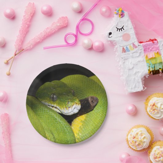 Groene boompython papieren bordje (Feest)