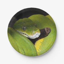 Groene boompython papieren bordje