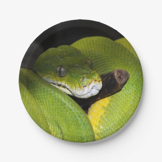 Groene boompython papieren bordje (Voorkant)