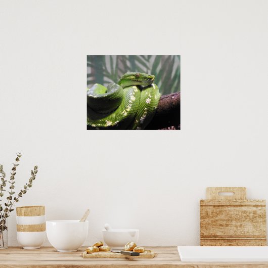 Groene boomPython Poster (Keuken)