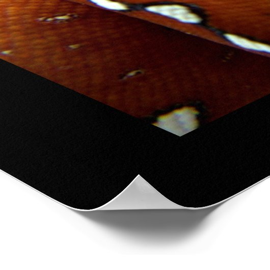 Groene boomPython Poster (Hoek)