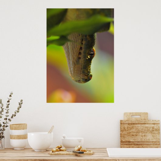 Groene boomPython Poster (Keuken)
