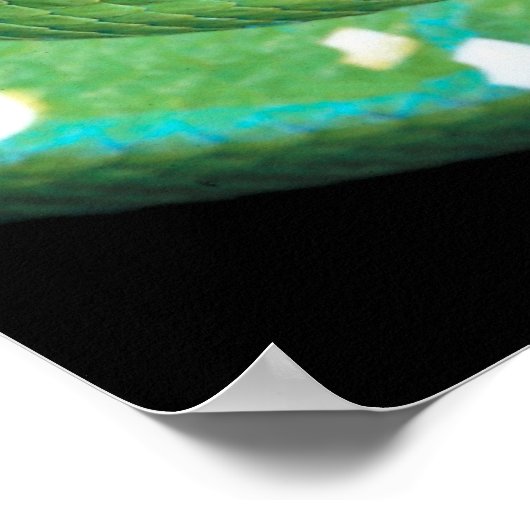 Groene boomPython Poster (Hoek)