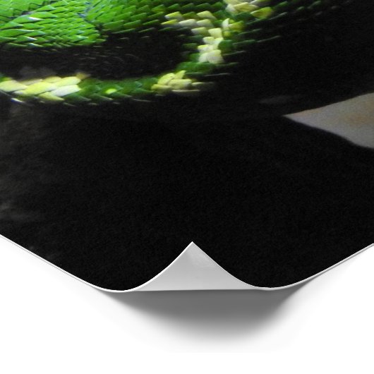 Groene boomPython Poster (Hoek)