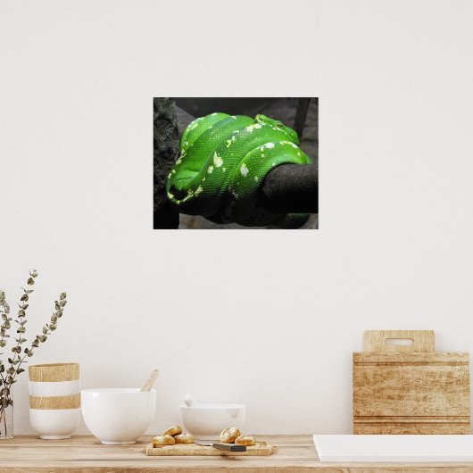 Groene boomPython Poster (Keuken)