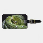 Groene boomslang emerald boa in Bolivia Bagagelabel (Voorkant horizontaal)