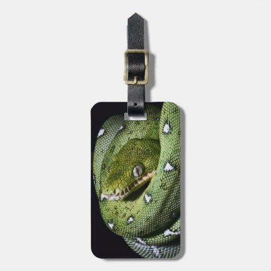 Groene boomslang emerald boa in Bolivia Bagagelabel (Voorkant verticaal)