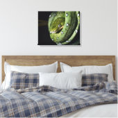 Groene boomslang emerald boa in Bolivia Canvas Afdruk (Insitu (Slaapkamer))